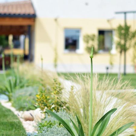Agriturismo Pepe Rosa Rivoli Veronese Kültér fotó