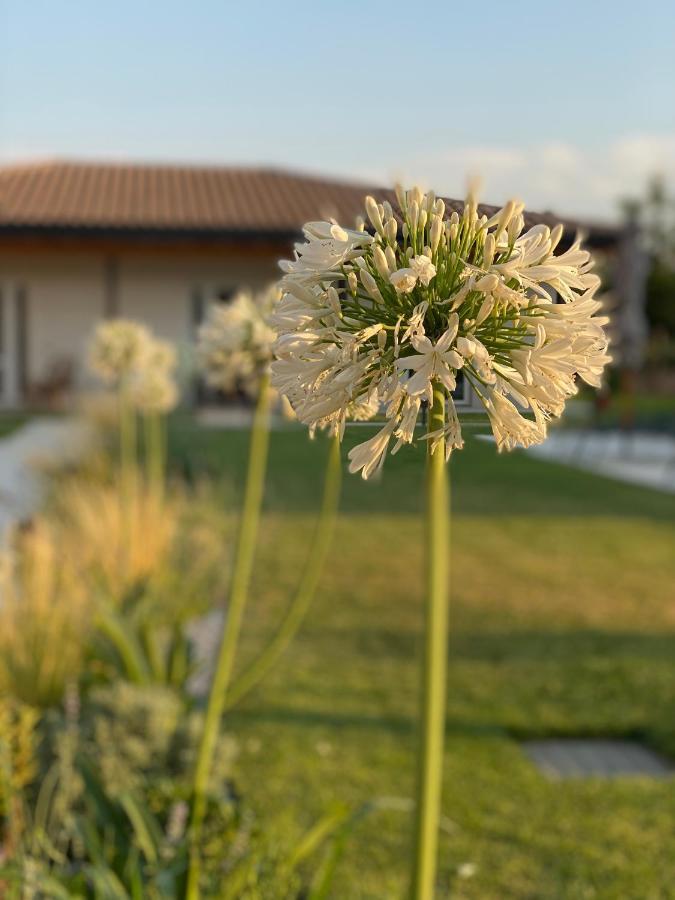 Agriturismo Pepe Rosa Rivoli Veronese Kültér fotó